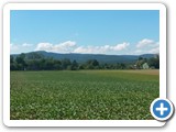 20190525 Blick vom Stadtrand FfM zum Feldberg