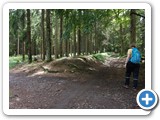 DSC04489 Rest des Limes im Taunus