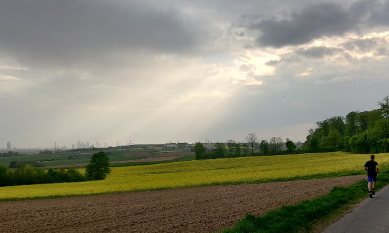 Frankfurter Skyline