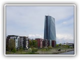 die EZB im Ostend (Europ.Zentralbank)