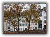 das schmalste Haus Frankfurts