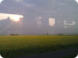 IMAG0773